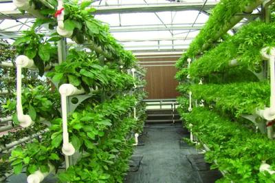 廊坊市沁元春餐饮酒店管理 打造卓越酒店管理服务的新典范